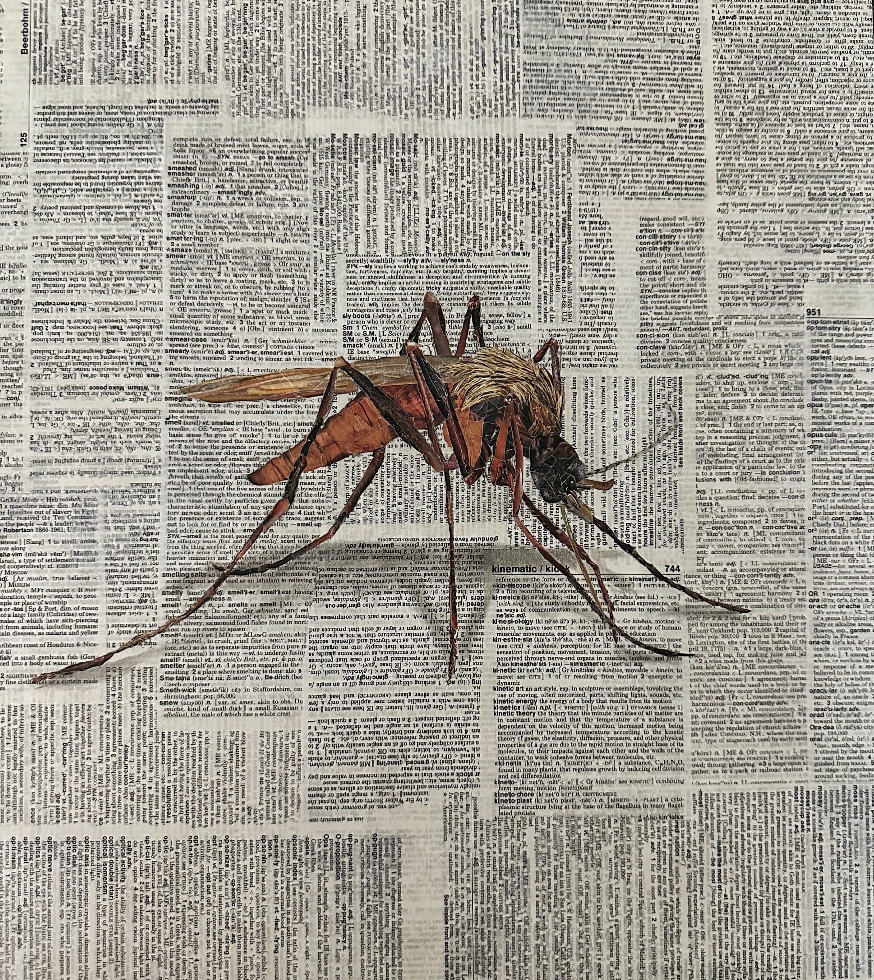 Mascot of the Gulf Coast